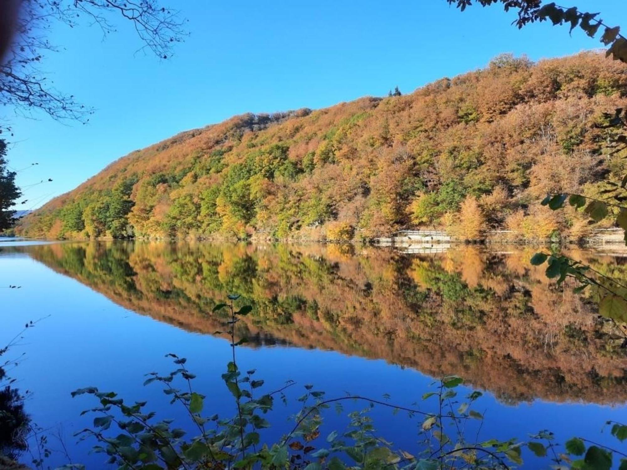 Ferienhaus &#039Freund Am See&#039 3 Heimbach Bagian luar foto